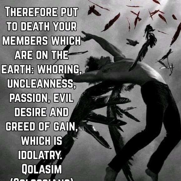 Meet your Posher, Paula - Picture 1 of 1